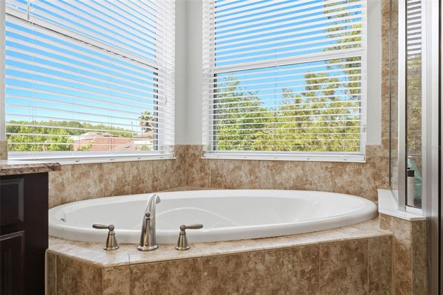 8005 CYPRESS CROSSING COURT, Tampa, FL 33647