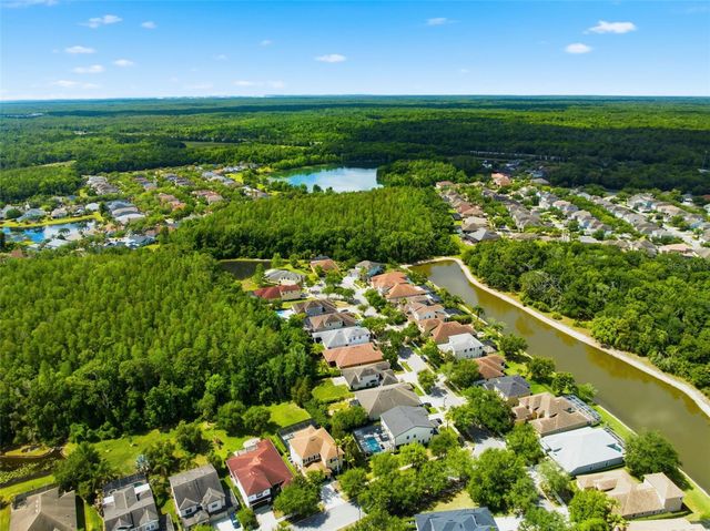 8005 CYPRESS CROSSING COURT, Tampa, FL 33647