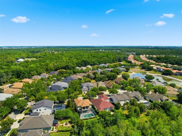 8005 CYPRESS CROSSING COURT, Tampa, FL 33647