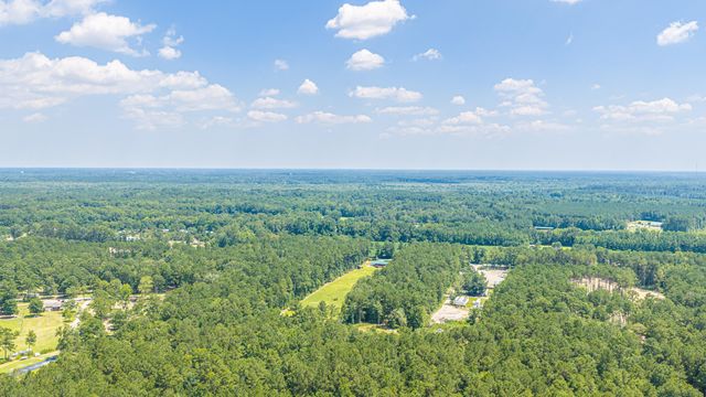 197 Myers Mayo Road Lot 2, Ridgeville, SC 29472