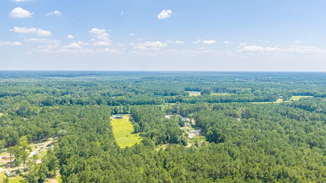 197 Myers Mayo Road Lot 2, Ridgeville, SC 29472