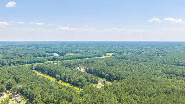197 Myers Mayo Road Lot 2, Ridgeville, SC 29472