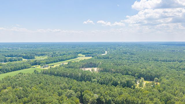 197 Myers Mayo Road Lot 2, Ridgeville, SC 29472