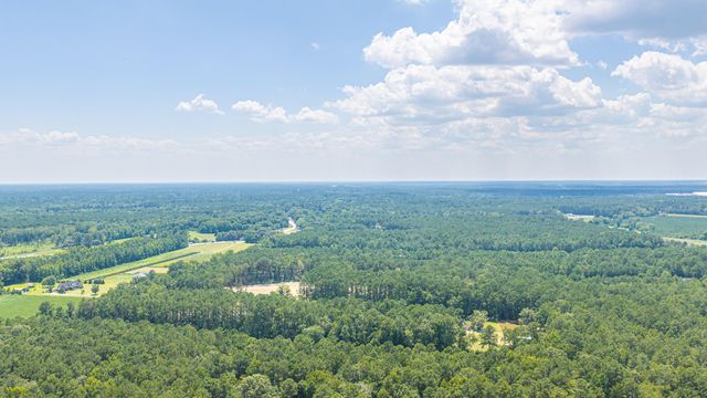 197 Myers Mayo Road Lot 2, Ridgeville, SC 29472