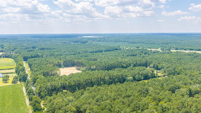 197 Myers Mayo Road Lot 2, Ridgeville, SC 29472