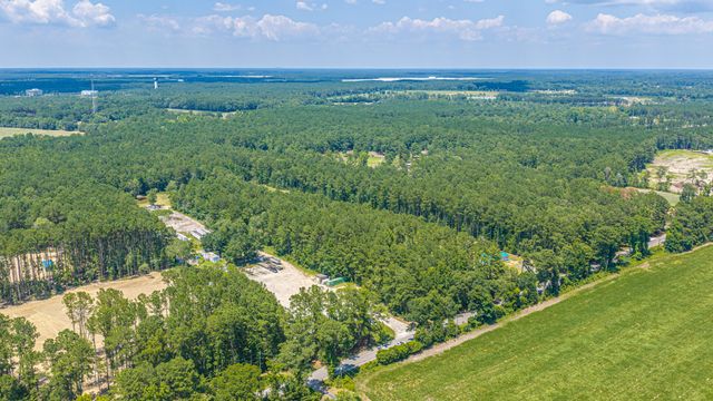 197 Myers Mayo Road Lot 2, Ridgeville, SC 29472