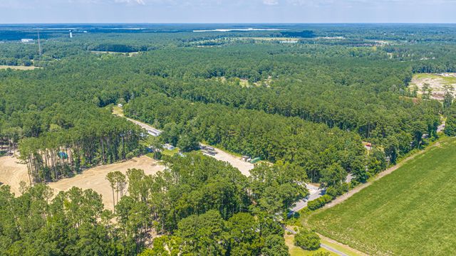 197 Myers Mayo Road Lot 2, Ridgeville, SC 29472
