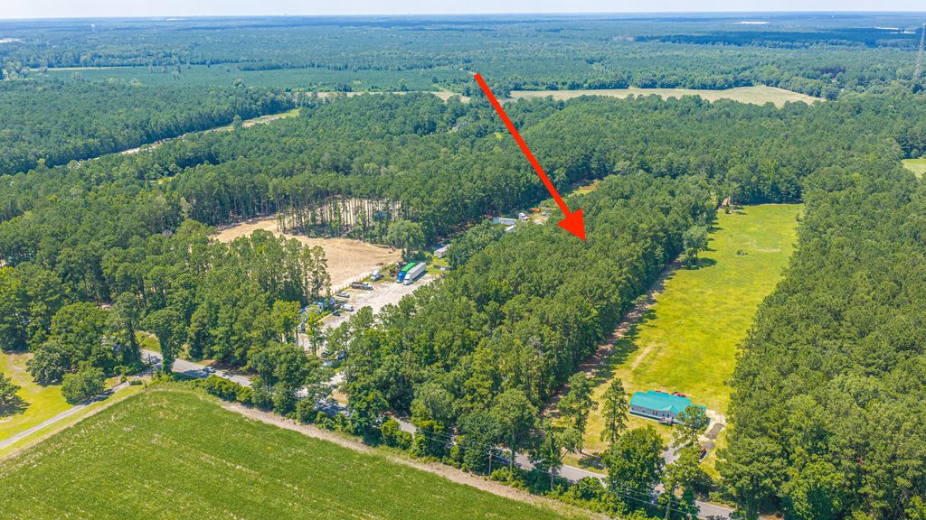 197 Myers Mayo Road Lot 2, Ridgeville, SC 29472