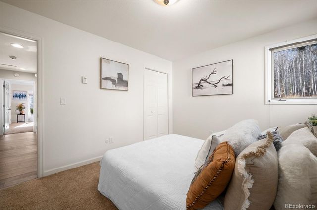 1362 Pine Valley Road, Evergreen, CO 80439