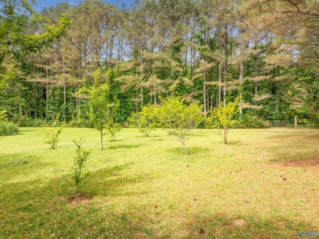 150 Berry Road, Somerville, AL 35670