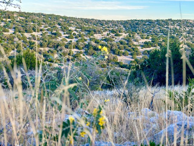 1213 Sd 42200, Rocksprings, TX 78880