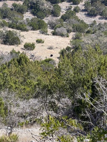 1213 Sd 42200, Rocksprings, TX 78880