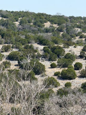 1213 Sd 42200, Rocksprings, TX 78880