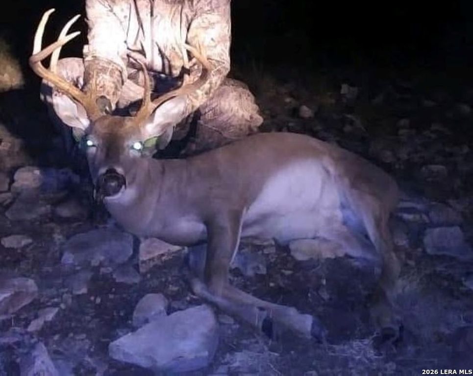 1213 Sd 42200, Rocksprings, TX 78880