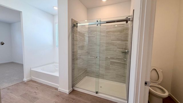 15988 W Desert Spoon Drive, Surprise, AZ 85387