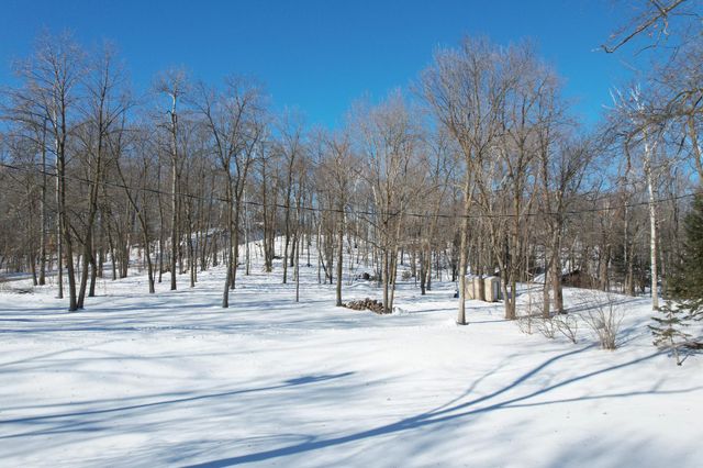 4650 Lakeview Drive, Cushing, MN 56443