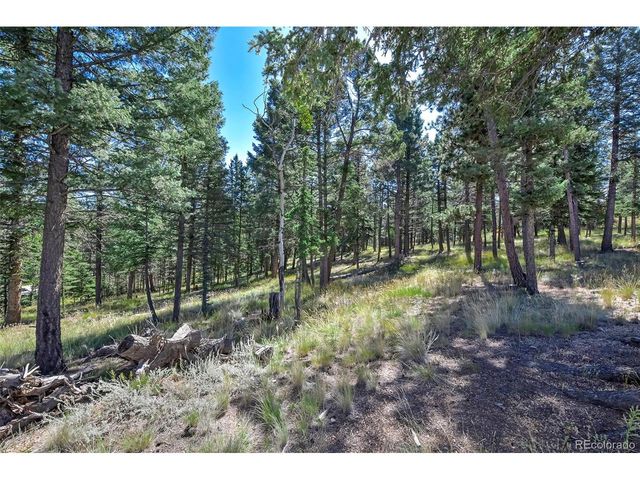44 Southpark Rd, Florissant, CO 80816