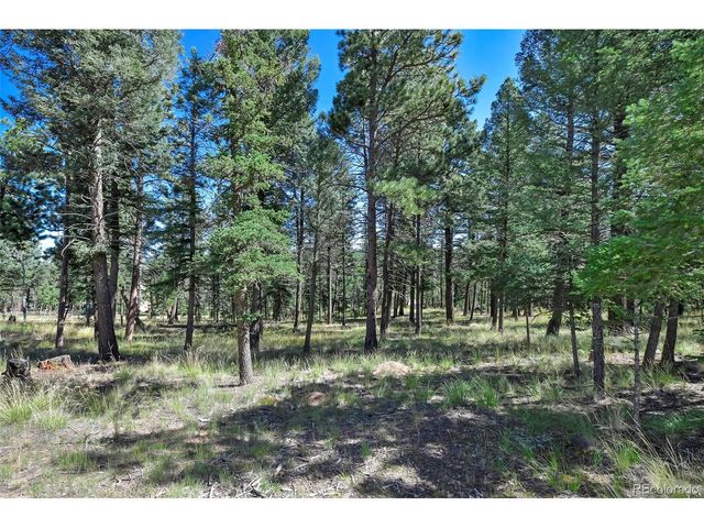 44 Southpark Rd, Florissant, CO 80816