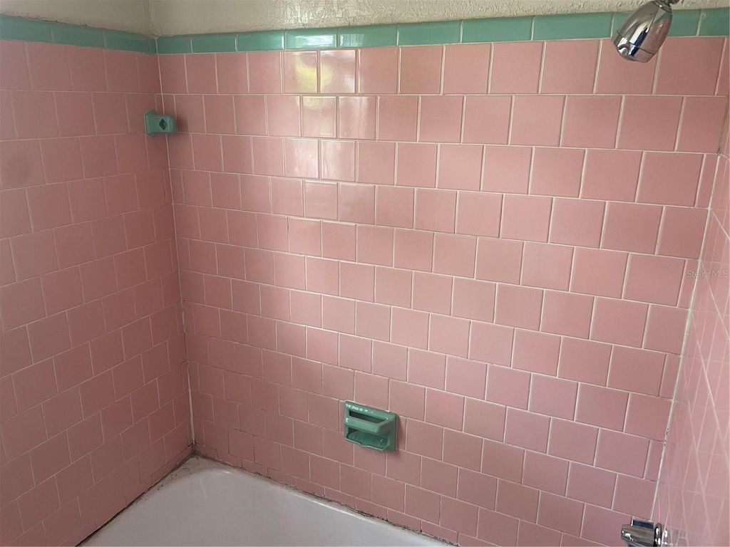 Image 12 of property listing at 415 E FLORIBRASKA AVENUE, Tampa, FL 33603