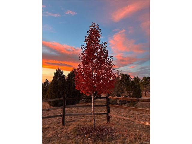 1705 Pinyon Dr, Castle Rock, CO 80104