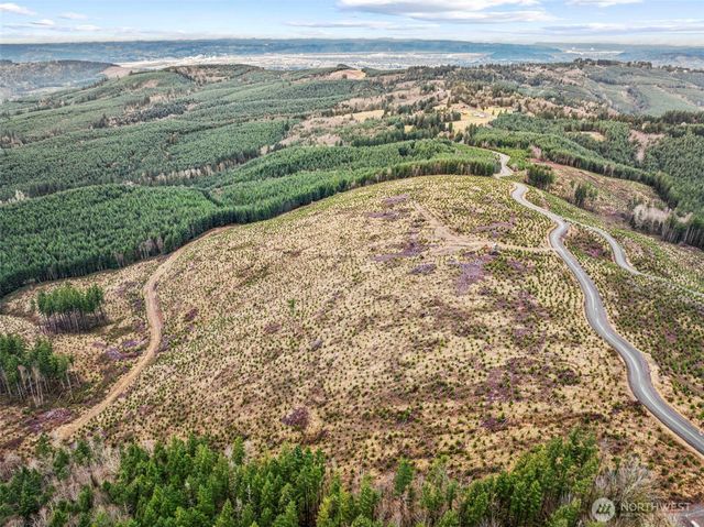 0 Lot 1 Mt Brynion Road, Kelso, WA 98632