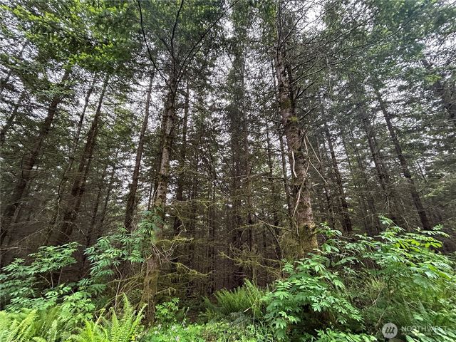 0 Lot 1 Mt Brynion Road, Kelso, WA 98632