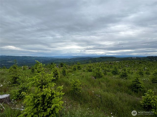 0 Lot 1 Mt Brynion Road, Kelso, WA 98632