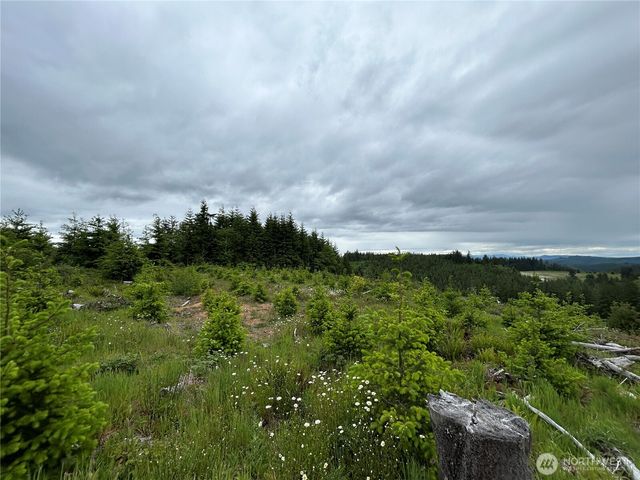 0 Lot 1 Mt Brynion Road, Kelso, WA 98632