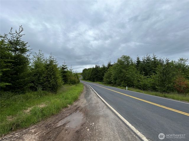 0 Lot 1 Mt Brynion Road, Kelso, WA 98632