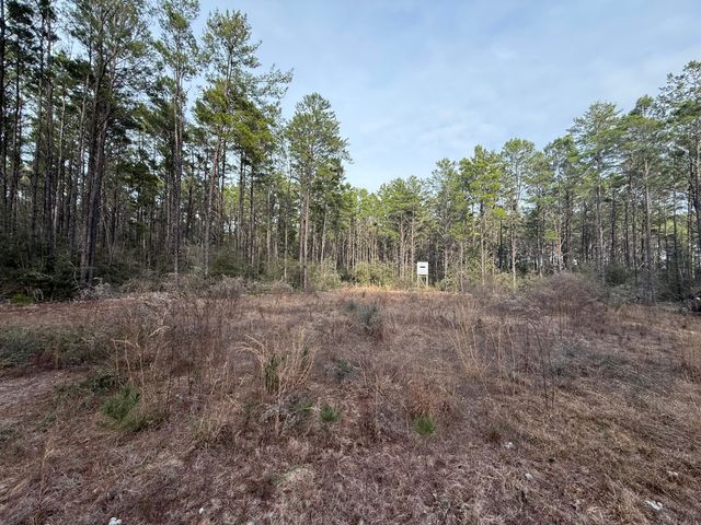 TBD Badger Drive, Crestview, FL 32539
