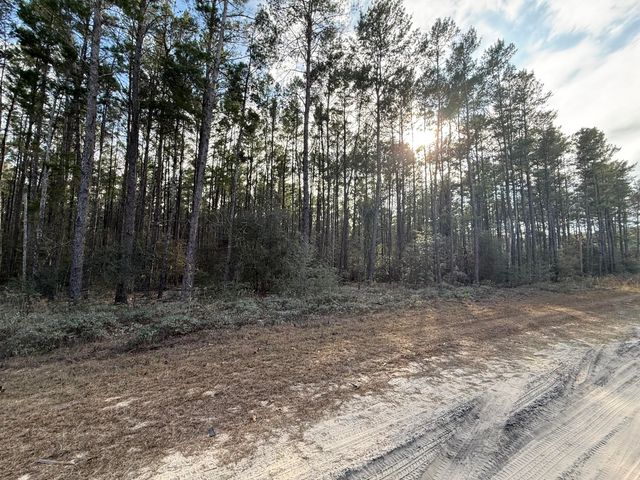 TBD Badger Drive, Crestview, FL 32539