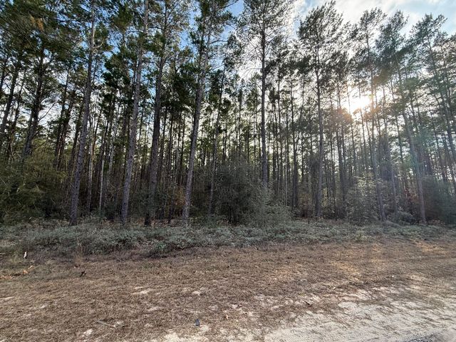 TBD Badger Drive, Crestview, FL 32539