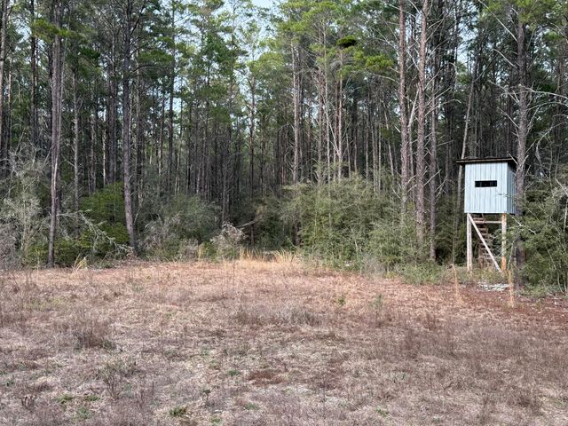 TBD Badger Drive, Crestview, FL 32539