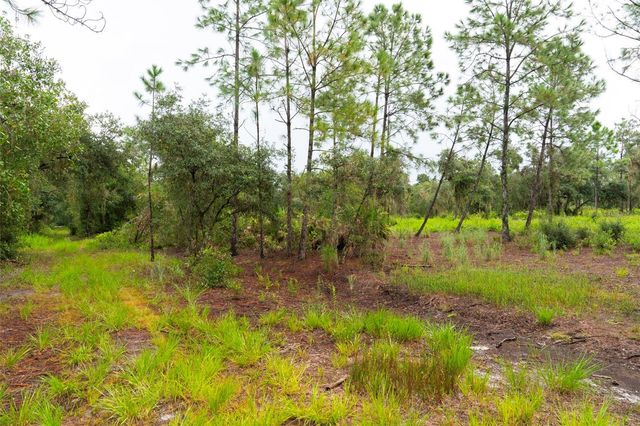 14020 CYPRESS LANE, Wimauma, FL 33598