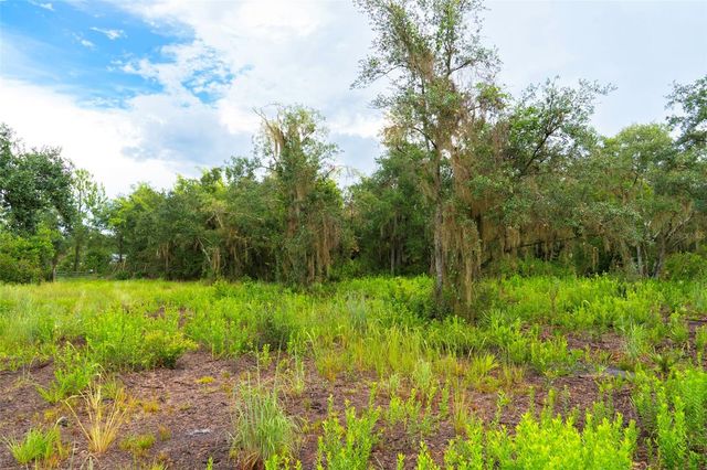 14020 CYPRESS LANE, Wimauma, FL 33598