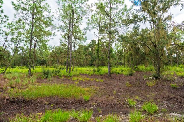 14020 CYPRESS LANE, Wimauma, FL 33598