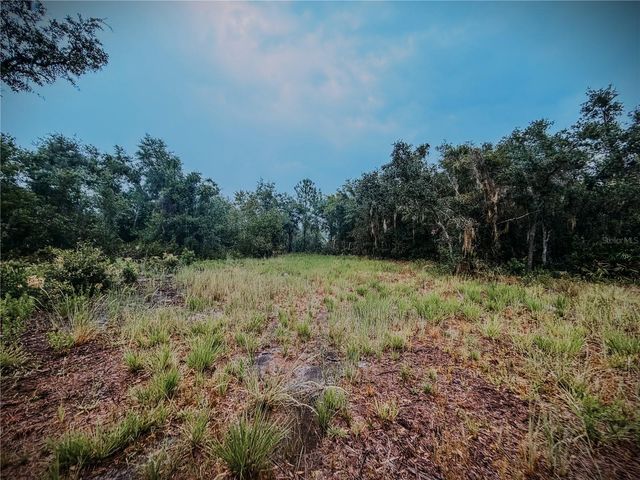 14020 CYPRESS LANE, Wimauma, FL 33598