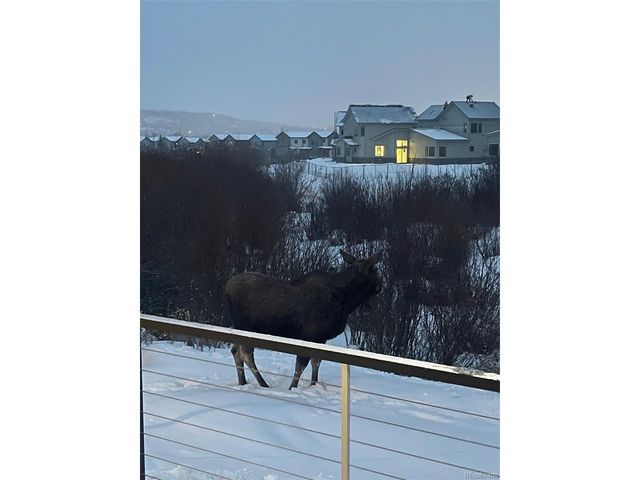 245 E Coyote Ct, Silverthorne, CO 80498