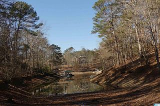 Lot 67 BLUE BIRD DRIVE, Wedowee, AL 36278