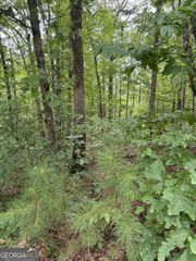 LOT 5 Harris Creek Drive, Ellijay, GA 30540