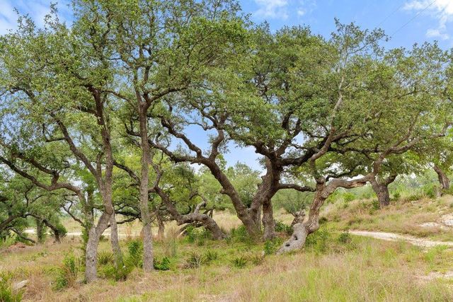 1850 Pursley RD, Dripping Springs, TX 78620