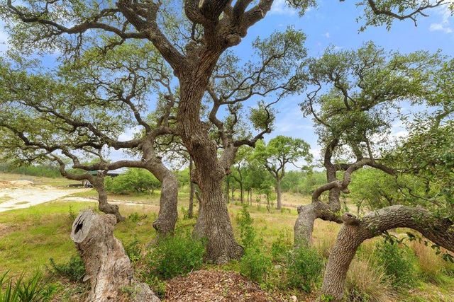 1850 Pursley RD, Dripping Springs, TX 78620