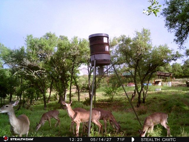 1850 Pursley RD, Dripping Springs, TX 78620