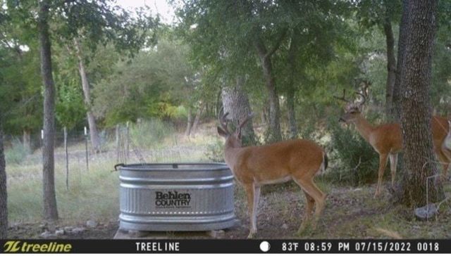 1850 Pursley RD, Dripping Springs, TX 78620