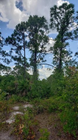 932 Island Parkway NE, Lake Placid, FL 33852