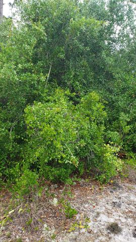 932 Island Parkway NE, Lake Placid, FL 33852