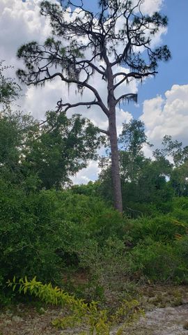 932 Island Parkway NE, Lake Placid, FL 33852