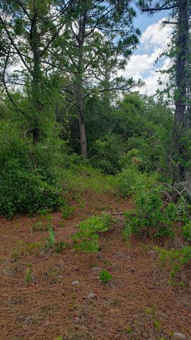 932 Island Parkway NE, Lake Placid, FL 33852