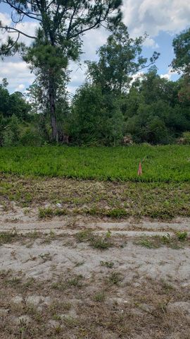 932 Island Parkway NE, Lake Placid, FL 33852