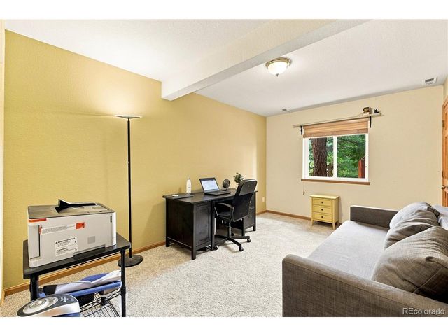 594 Hi Meadow Dr, Bailey, CO 80421